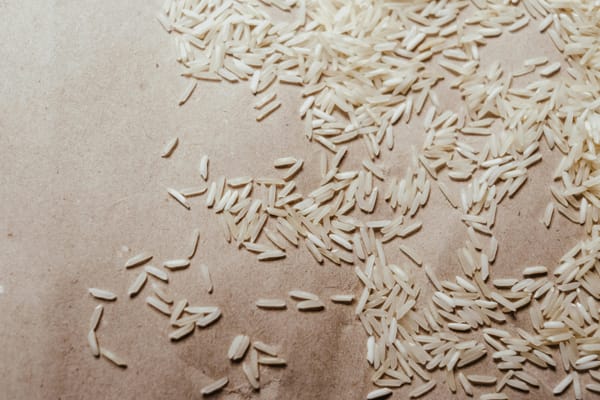 Wellness Weekly: Should you opt for brown rice over white rice?